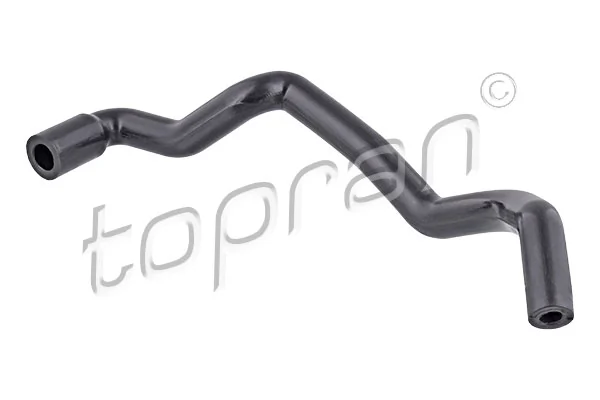 Hose, crankcase ventilation