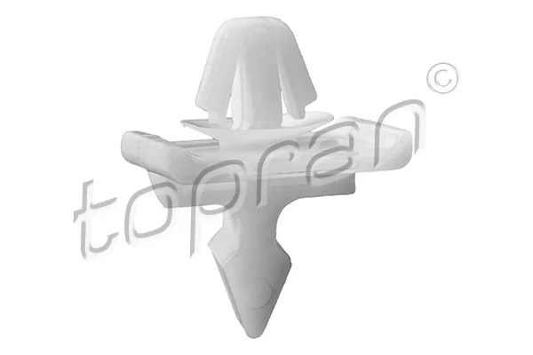 Clip, trim/protection strip