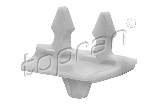 Clip, trim/protection strip