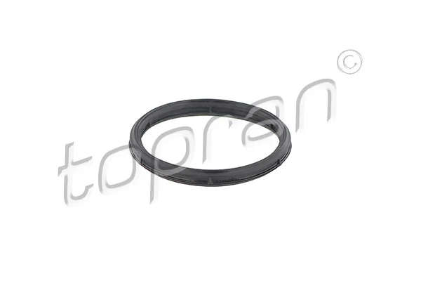 Gasket, intake manifold