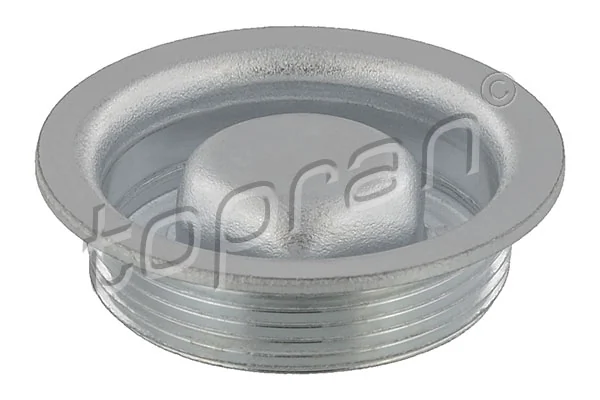 Screw Plug