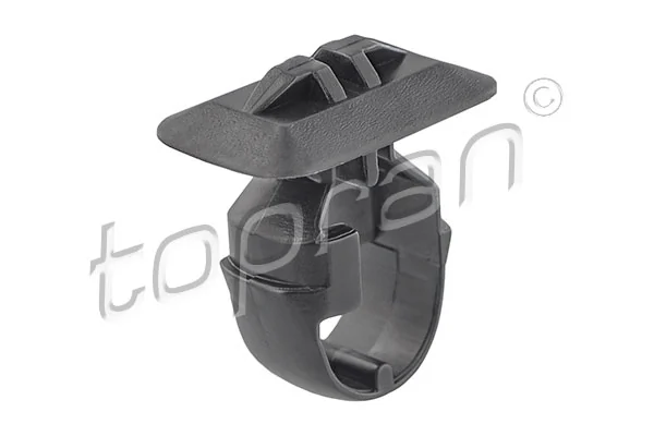 Clip, trim/protection strip