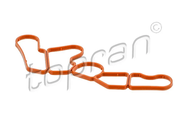 Gasket, timing case
