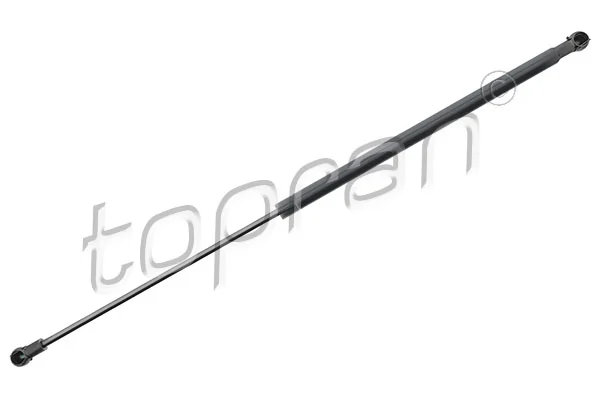 Gas Spring, boot/cargo area