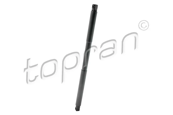 Gas Spring, boot/cargo area