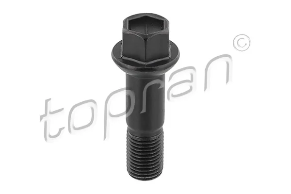 Wheel Bolt