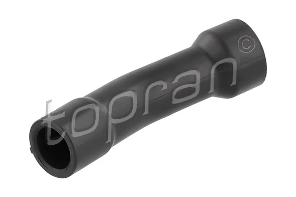 Hose, cylinder head cover ventilation