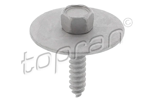 Screw