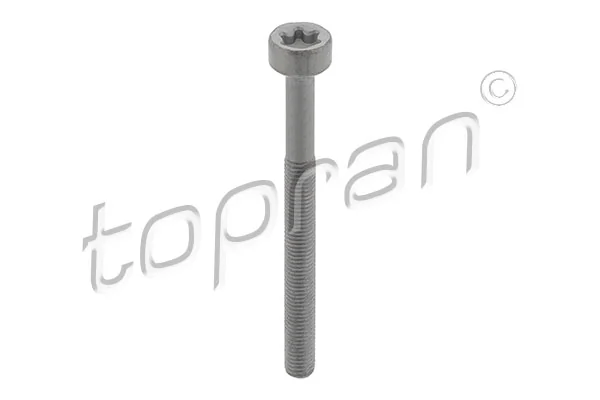 Screw, injection nozzle holder