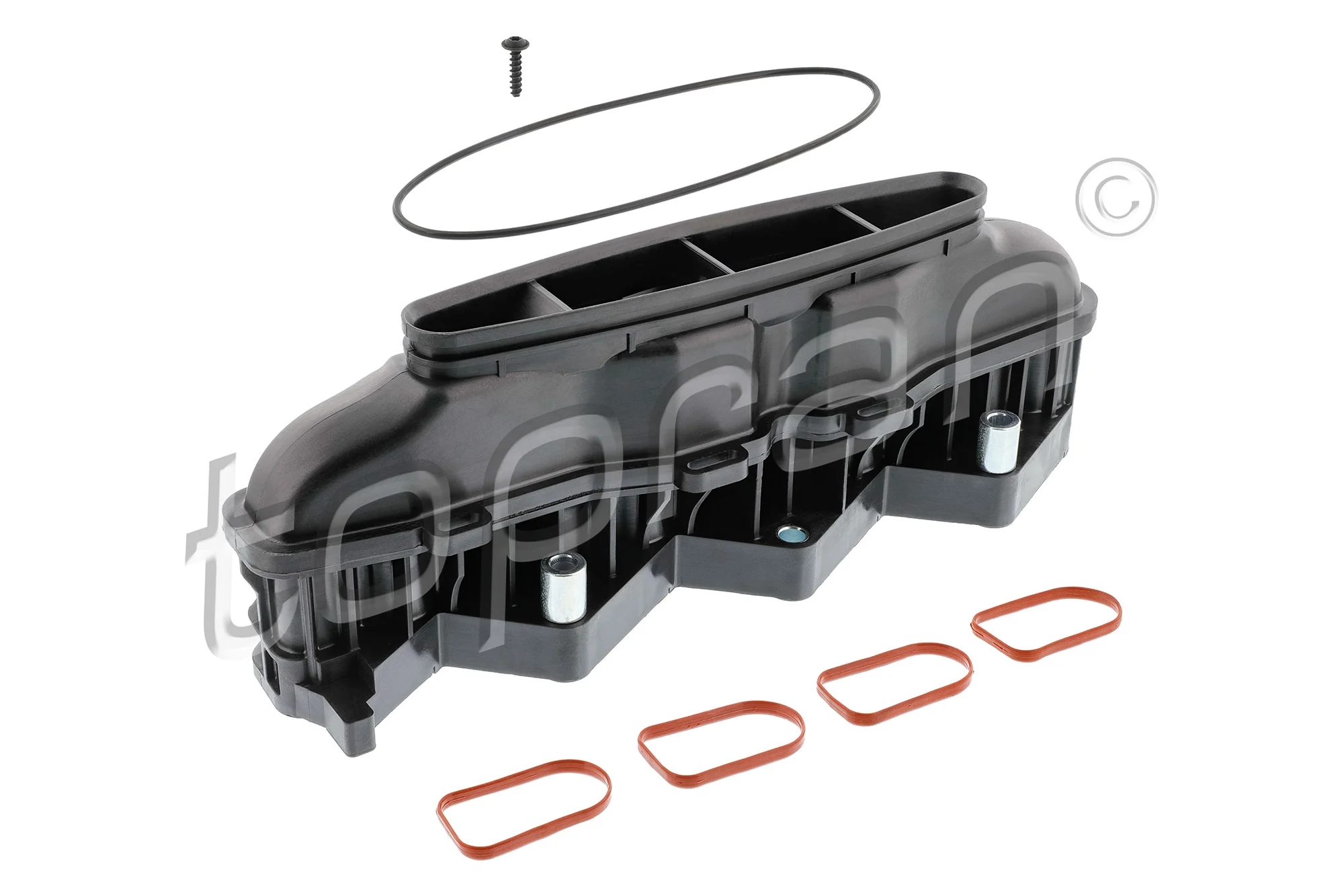 Intake Manifold Module