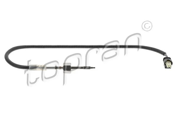 Sensor, exhaust gas temperature