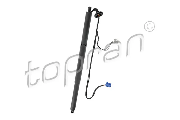 Electric Motor, tailgate