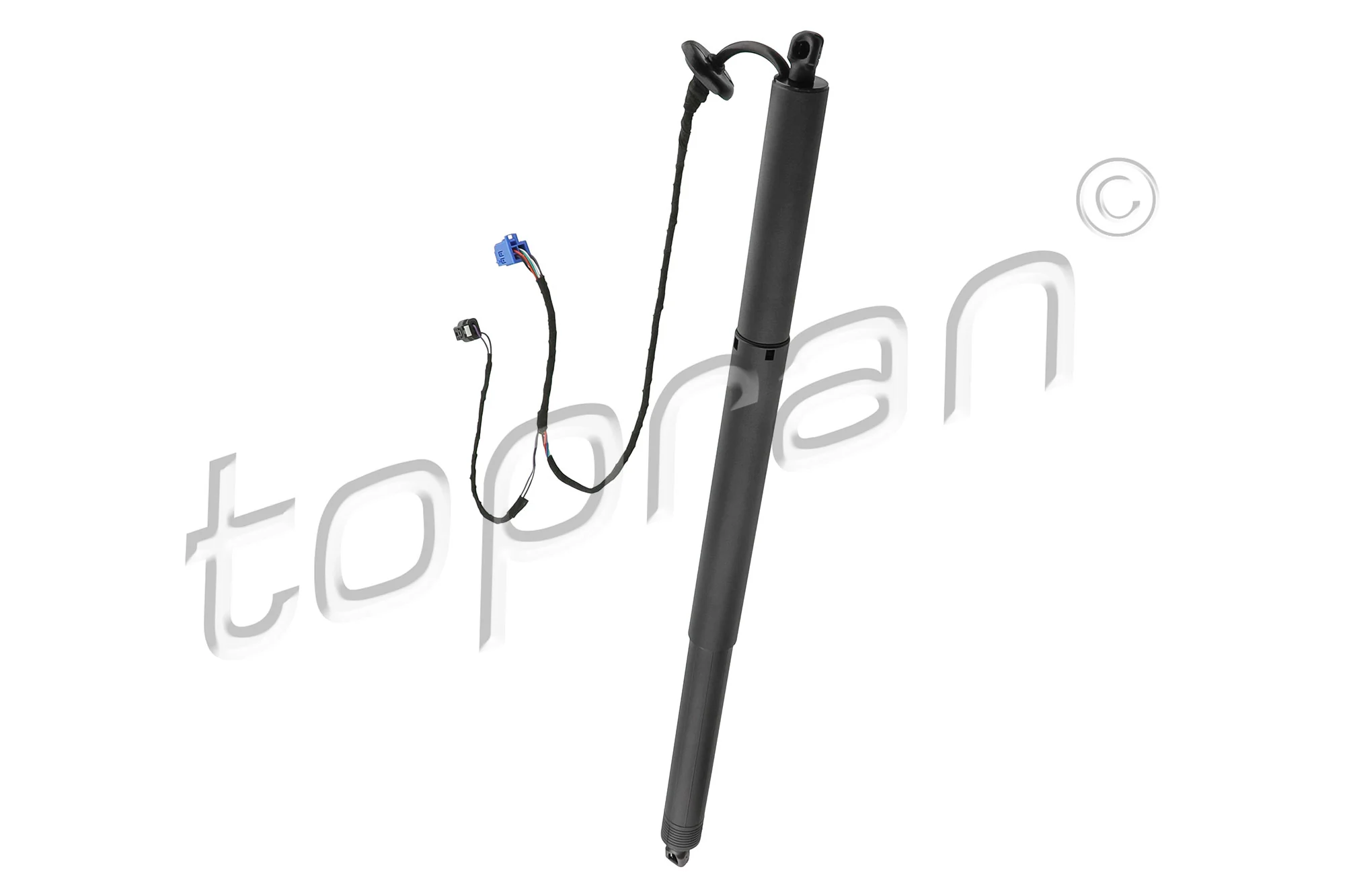 Electric Motor, tailgate