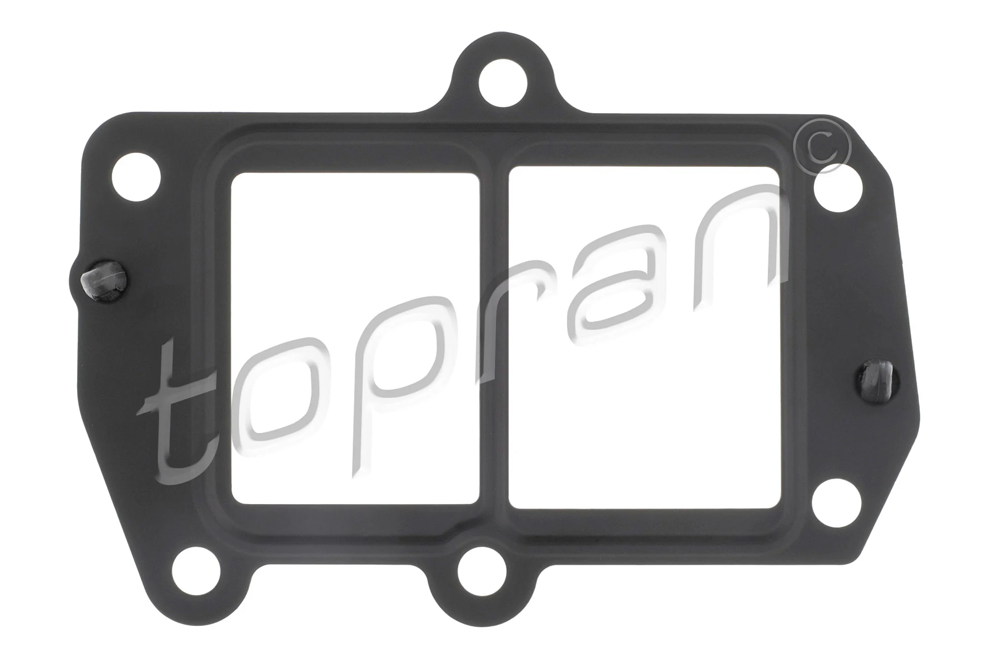 Gasket, EGR valve