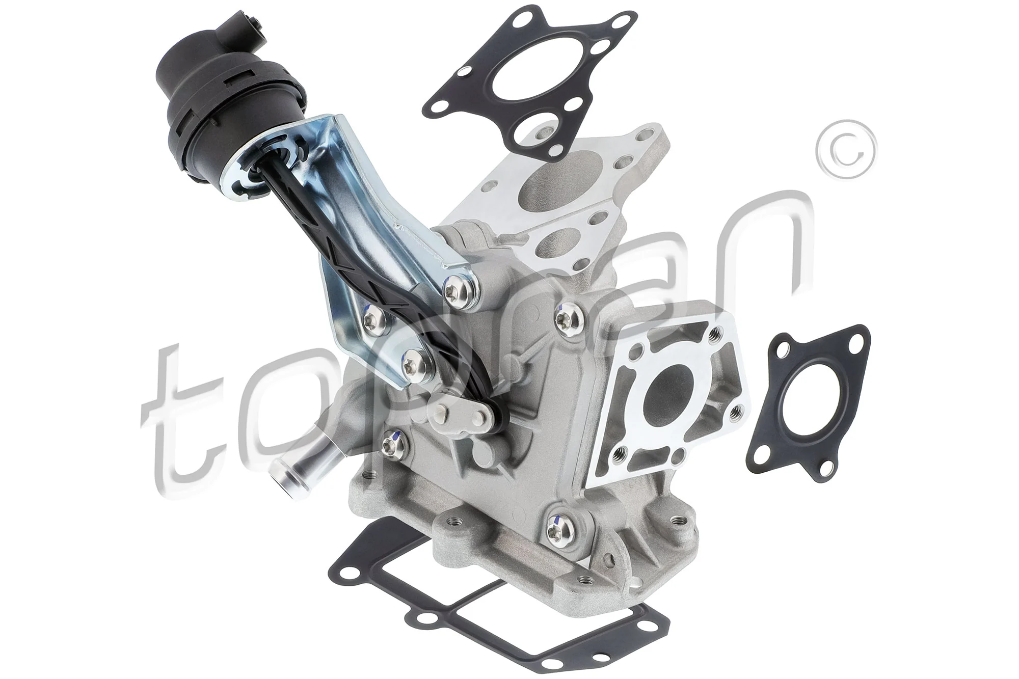 EGR Valve