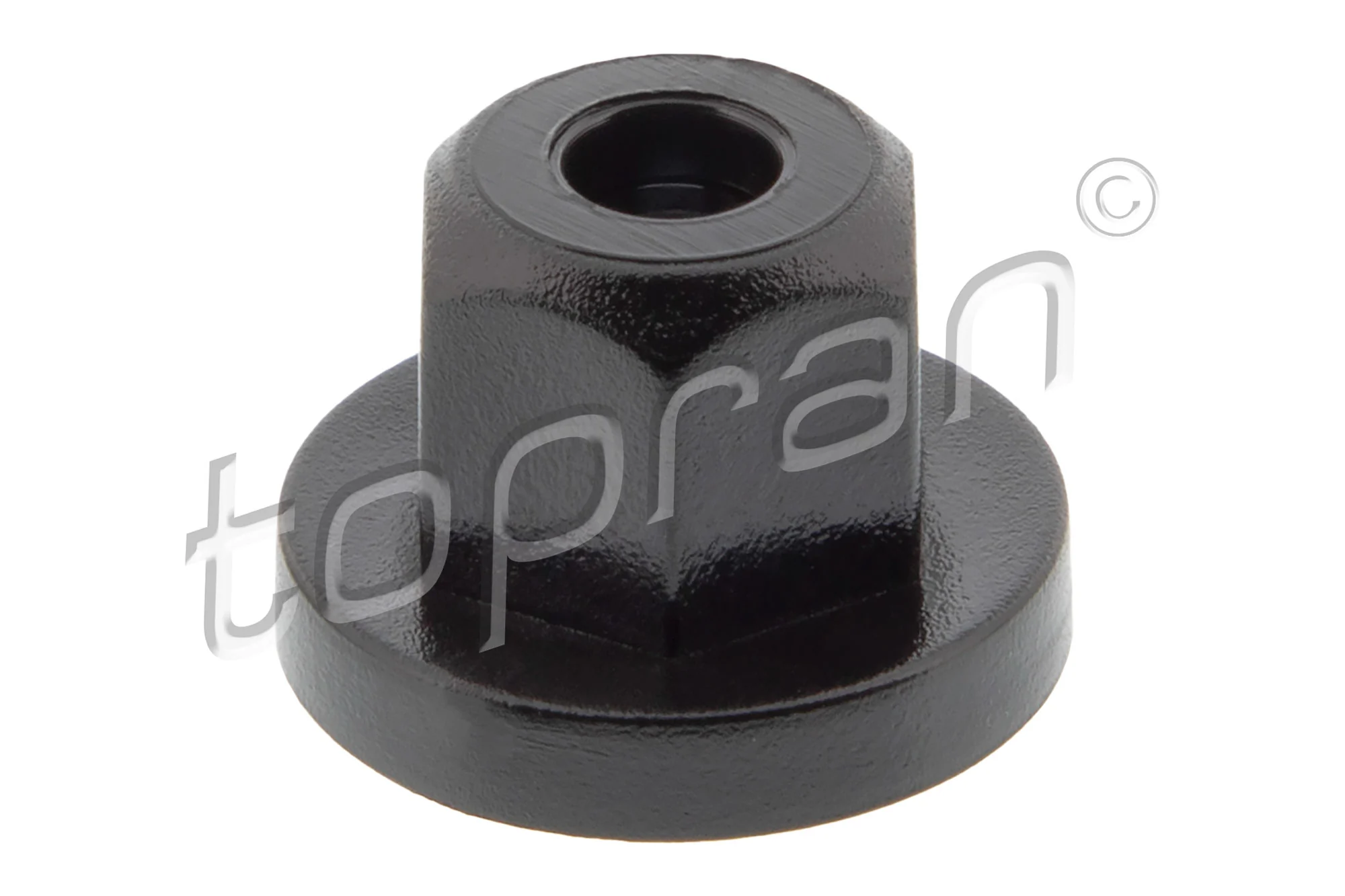 Clip, trim/protection strip