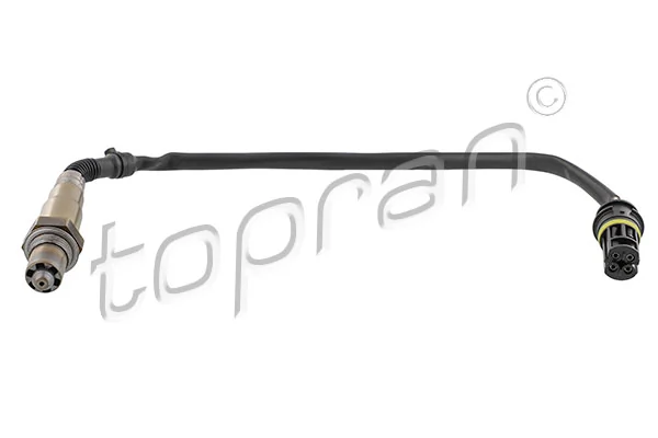 Oxygen Sensor