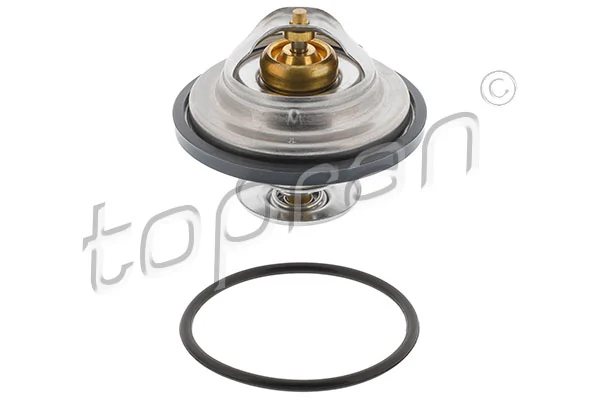 Thermostat, coolant