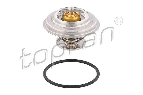 Thermostat, coolant