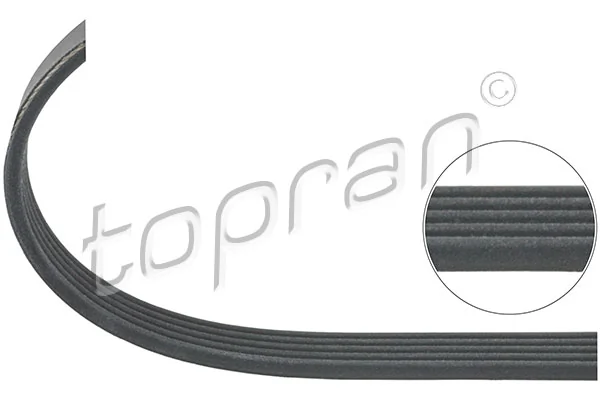 V-ribbed Belt