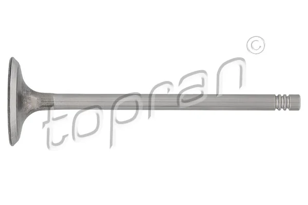 Intake Valve