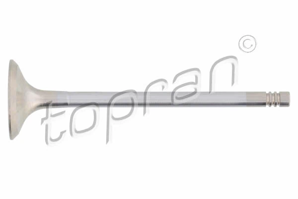 Exhaust Valve
