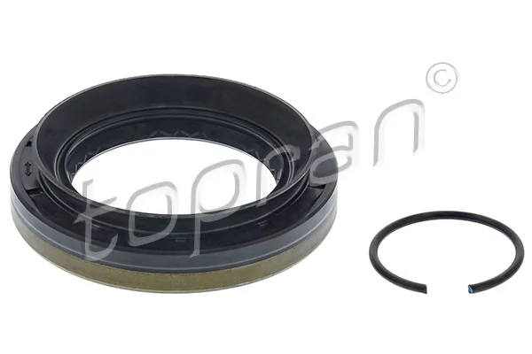 Shaft Seal, differential