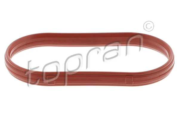 Gasket, intake manifold