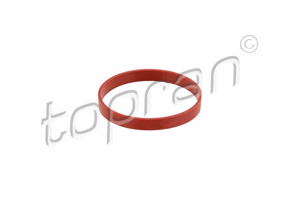 Gasket, EGR valve