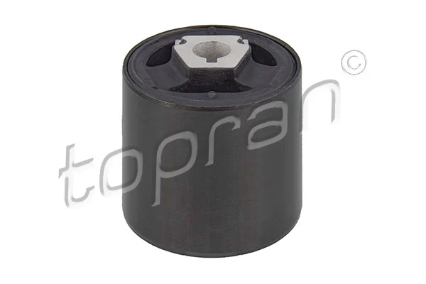 Mounting, control/trailing arm