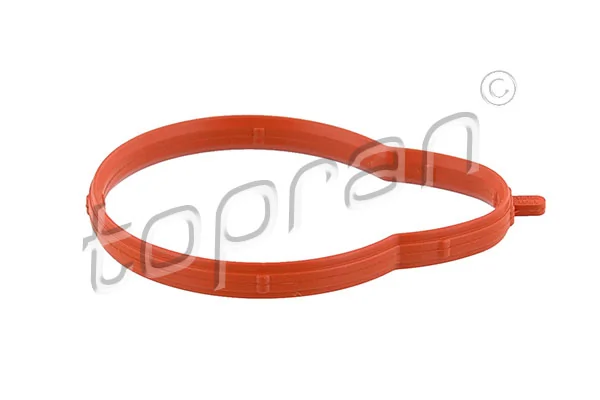 Gasket, intake manifold