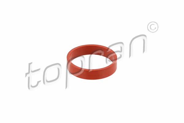 Gasket, intake manifold