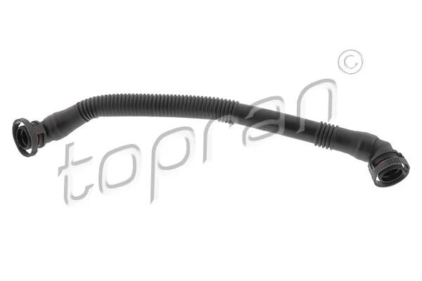 Hose, cylinder head cover ventilation