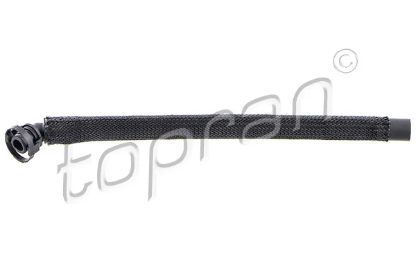 Hose, cylinder head cover ventilation