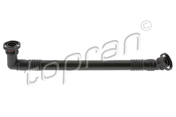 Hose, cylinder head cover ventilation