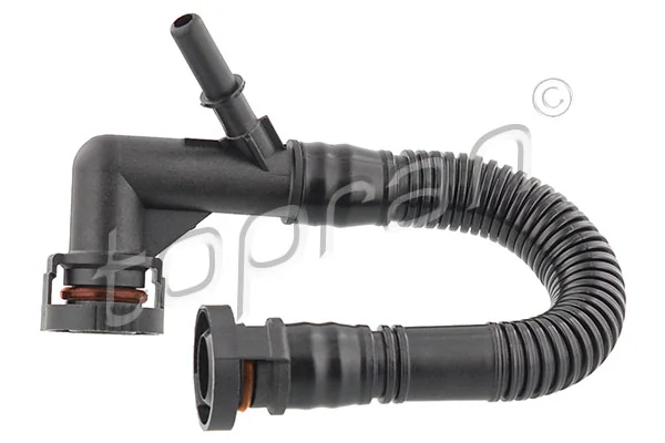 Hose, cylinder head cover ventilation