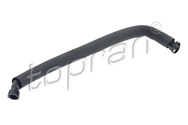 Hose, cylinder head cover ventilation
