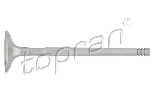 Exhaust Valve