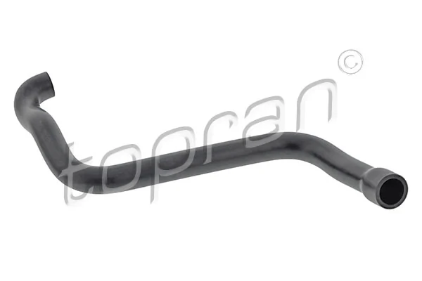 Hose, cylinder head cover ventilation