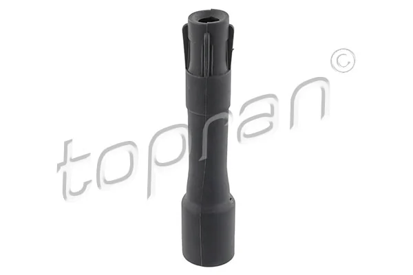 Plug, spark plug