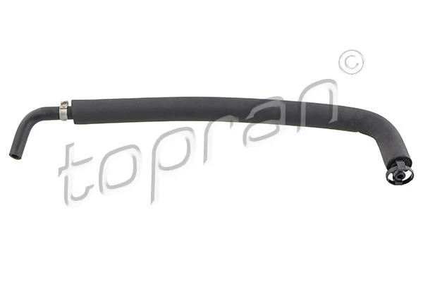 Hose, cylinder head cover ventilation