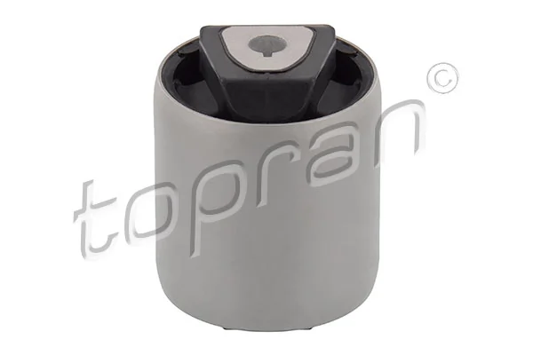 Mounting, control/trailing arm