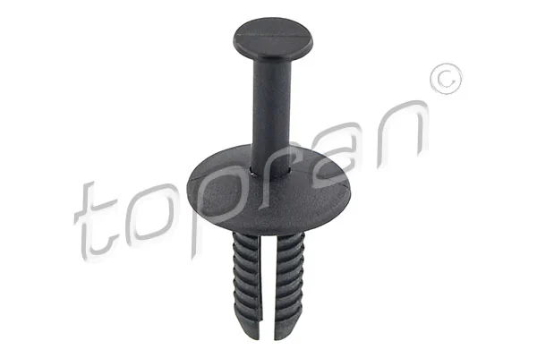 Expanding Rivet
