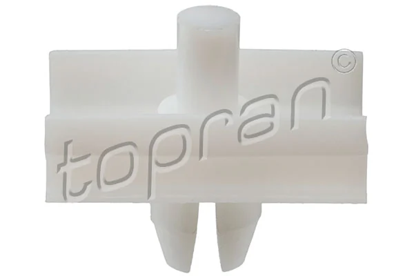 Clip, trim/protection strip