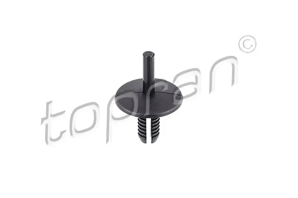 Expanding Rivet