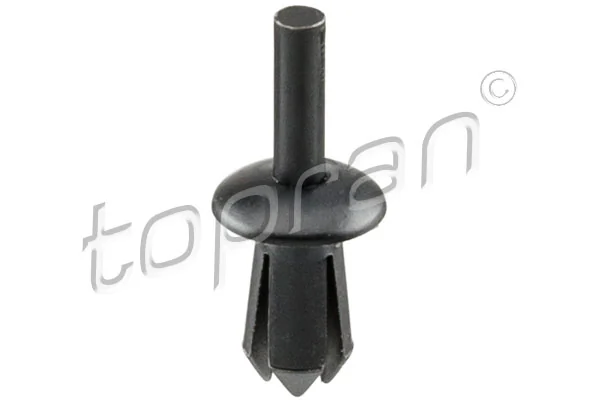 Expanding Rivet