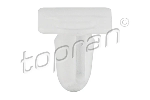 Clip, trim/protection strip