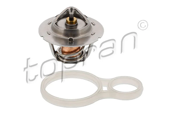 Thermostat, coolant