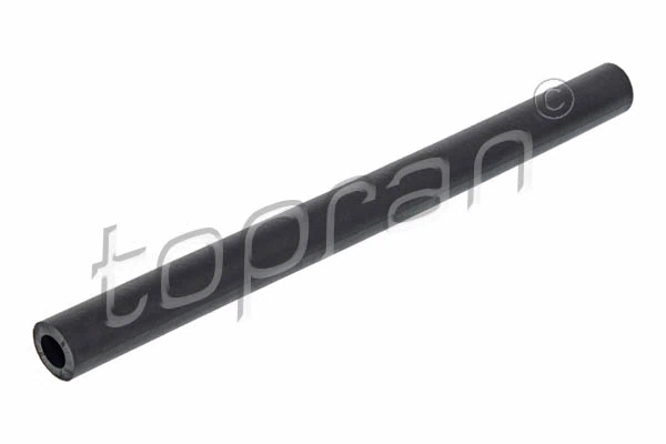 Hose, cylinder head cover ventilation