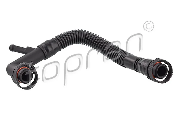 Hose, cylinder head cover ventilation